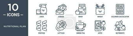 Ilustración de Conjunto de iconos plan nutricional esquema incluye jugo de línea delgada, queso, suero de leche, trigo, calculadora de calorías, proteína, íconos de lechuga para el informe, presentación, diagrama, diseño web - Imagen libre de derechos