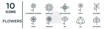 flowers outline icon set such as thin line strawberry blossoms, garlic mustard, bouvardia, geranium, pea, anthurium, peony icons for report, presentation, diagram, web design