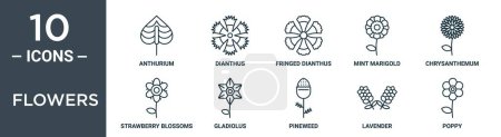 Illustration for Flowers outline icon set includes thin line anthurium, dianthus, fringed dianthus, mint marigold, chrysanthemum, strawberry blossoms, gladiolus icons for report, presentation, diagram, web design - Royalty Free Image
