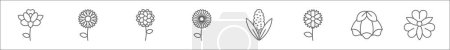 Ilustración de Esquema conjunto de flores línea iconos. iconos vectoriales lineales como iris, margarita, dalia, diente de león, jacinto, manzanilla, guisante, alstroemeria - Imagen libre de derechos