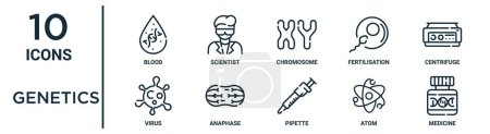 Genetik umreißt Symbolset wie dünne Linie Blut, Chromosom, Zentrifuge, Anaphase, Atom, Medizin, Virus-Symbole für Bericht, Präsentation, Diagramm, Webdesign
