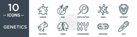 Genetik umreißt Symbolset umfasst dünne Linie Krebs, gmo, Befruchtung, Virus, Antikörper, Bakterien, Zwillinge Symbole für Bericht, Präsentation, Diagramm, Webdesign