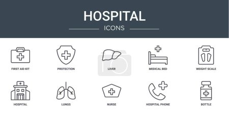 set of 10 outline web hospital icons such as first aid kit, protection, liver, medical bed, weight scale, hospital, lungs vector icons for report, presentation, diagram, web design, mobile app