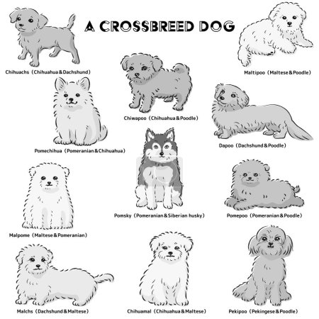 Nette beliebte Mischlingshund handgezeichnete Linie Zeichnung Vektor Illustration Set (schwarz und weiß)