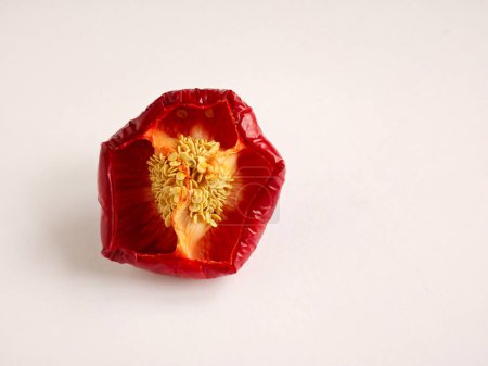 Red bell pepper cut in half. Pepper's parts with seeds. Light background with copy space. Garbage food.