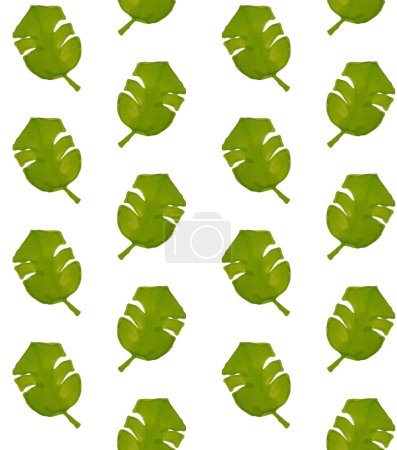 Vereinzelte grüne Blätter. Muster für Ihre Hintergründe, Textilien und Designs. Floraler Schmuck.