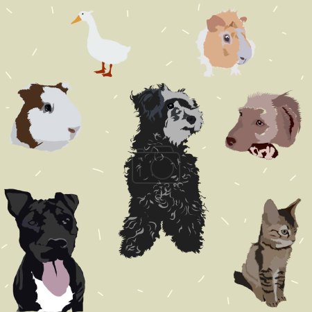 The image consists of pets, three dogs, a cat, two guinea pigs, and a duck