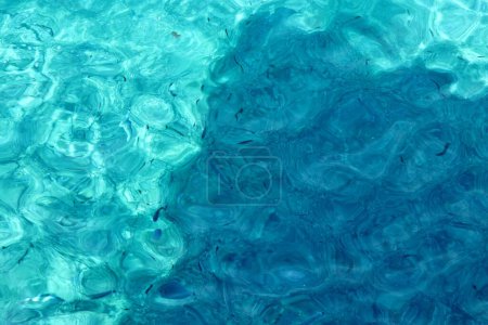 Photo for Massa Lubrense - 6 September 2023: Seabed of the Bay of Ieranto with crystal clear water and colorful fish - Royalty Free Image