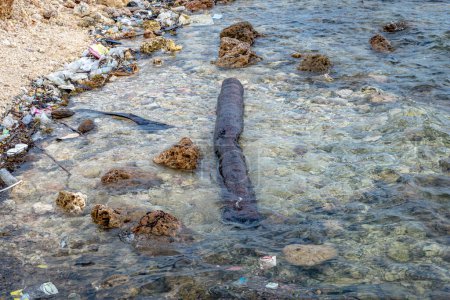 Umweltverschmutzungskrise: Eine malerische Küstenstadt kämpft mit Plastikmüll - Küstenstadt kämpft mit Umweltverschmutzung