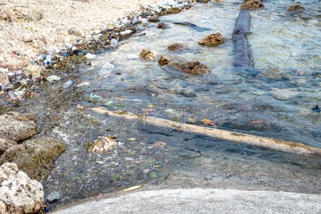 Umweltverschmutzungskrise: Eine malerische Küstenstadt kämpft mit Plastikmüll - Küstenstadt kämpft mit Umweltverschmutzung