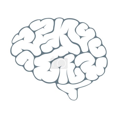 Illustration for Isolated image of brain silhouette on white background - Royalty Free Image