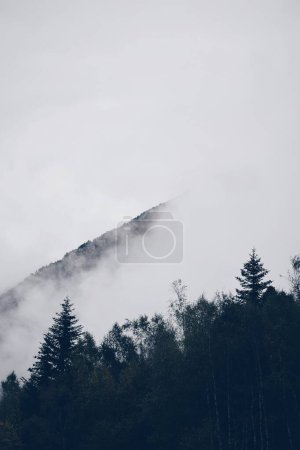 Low clouds in a forest in the French Pyrenees in France on September 10, 2020
