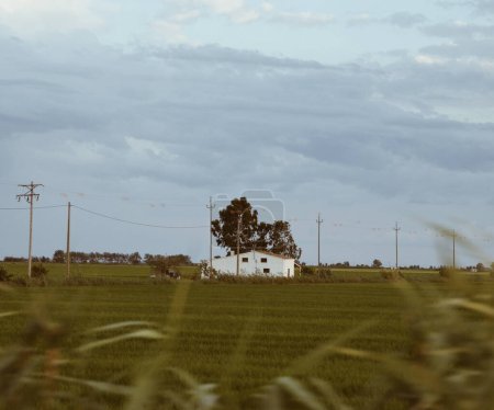 Foto de Casa solitaria en medio del campo en el delta del Ebro en Cataluña, España, el 29 de agosto de 2023 - Imagen libre de derechos