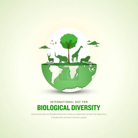 Internationaler Tag der biologischen Vielfalt. Vorlage für Hintergrund, Banner, Karte, Plakat. Vektorillustration.
