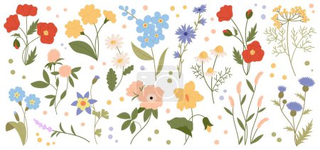 Illustration for Wild flowers vector collection. Set of decorative floral design elements. Herbs, flowering plants. Botanical vector illustration - Royalty Free Image