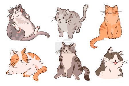 Hand drawn cats collection. Cats character different pose set. Cats collection.