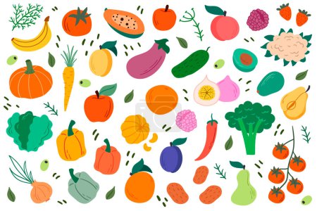 Conjunto vectorial de frutas y verduras. Alimento saludable