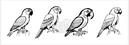 Black and white coloring pages Animals parrot icon Vector stock illustration EPS 10