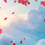 Romantic composition, butterfly, hearts, flowers, dove, feather, rose, isolated, nature, background, valentine
