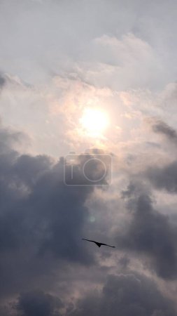 Foto de El sol es una nube oscura y con ella una bandada de águilas.. gaviota volando en el cielo - Imagen libre de derechos