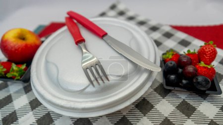 Photo for Typical Brazilian food sealed in a Styrofoam container for home delivery with fruits - Royalty Free Image