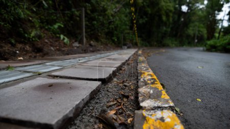 Deslizamiento de tierra por carretera en la ciudad de Gramado