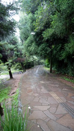 Rain, dammed water and the path to walk on Lago Negro