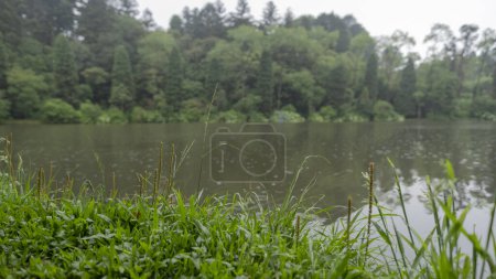 Téléchargez les photos : Pluie, eau de barrage et le chemin pour marcher sur le lac Noir - en image libre de droit