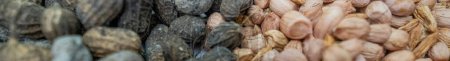 Hortalizas de cacahuete en granos sueltos, porcionadas y sin cáscara