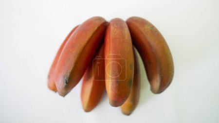 Bananier rouge présent sur une grande partie du territoire brésilien