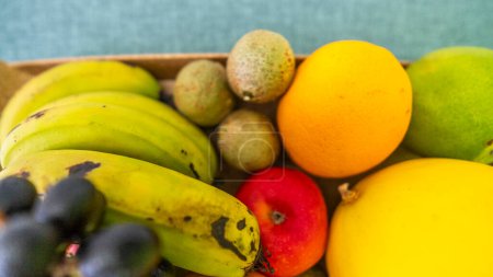 Brasilianische Früchte mit ihren erfrischenden Farben und Formen