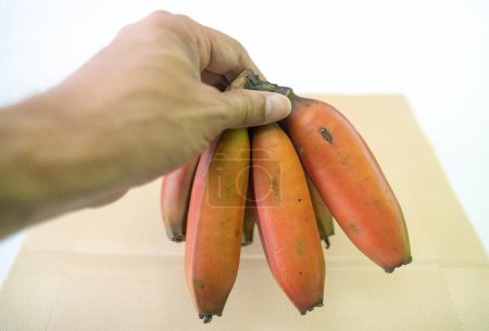 Foto de Fruta del plátano rojo presente en gran parte del territorio brasileño - Imagen libre de derechos