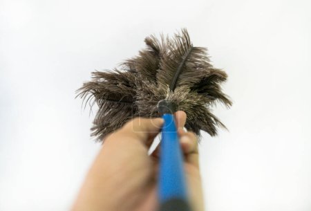Cleaning objects and home small household duster