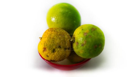 Red banana, orange, lemon, avocado fruit present in a large part of the Brazilian territory
