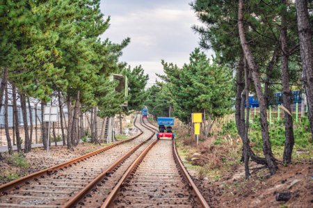Aktivität des Ozean-Schienenfahrrads auf der Eisenbahn, die durch Baumtunnel am Meer fährt, Beliebte Attraktionen in Südkorea