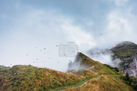 Téléchargez les photos : Vue panoramique de la crête montagneuse brumeuse avec troupeau d'oiseaux volant sur le belvédère de Saxer Lucke, Alpes suisses le matin à Appenzell, Suisse - en image libre de droit