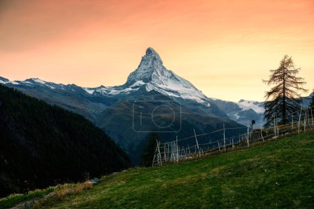 Beautiful sunset sky over Matterhorn iconic mountain on Swiss Alps and stall of sheep on hillside in rural scene at Findeln, Switzerland