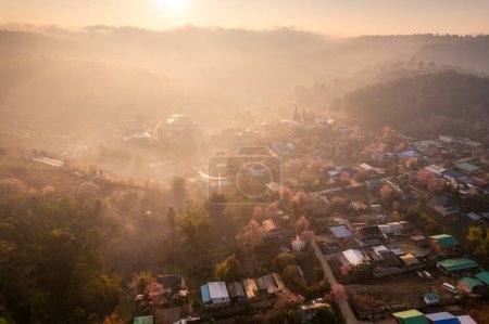 Beautiful sunrise over Thai tribe village in foggy with wild himalayan cherry tree blooming in springtime at Ban Rong Kla, Phu Hin Rong Kla National Park, Thailand