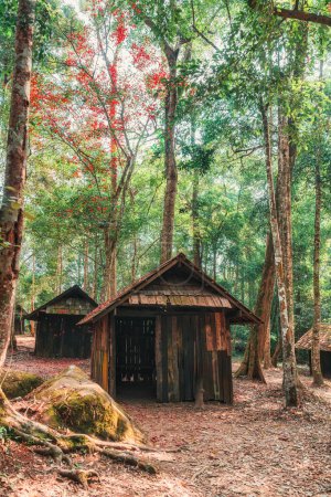 Beautiful view of weathered wooden hut with red maple leaves in tropical rainforest at national park of Thailand. School of Political and Military at Phu Hin Rong Kla