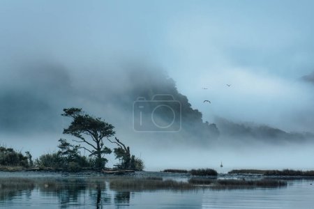 Mysterious landscape of Milford Sound with foggy and bird flying on the lake in the morning at Fjordland national park, New Zealand