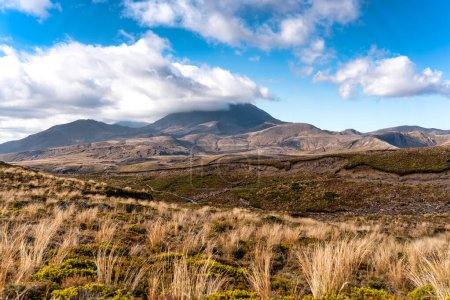 Paisaje de pradera dorada con montaña volcánica en la pista de cruce alpino Tongariro en el día soleado en la Isla Norte de Nueva Zelanda