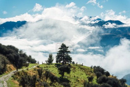 Un árbol que brilla en la colina en medio de la niebla y la montaña alpina en un día soleado en la pista Roys Peak, Wanaka, Nueva Zelanda