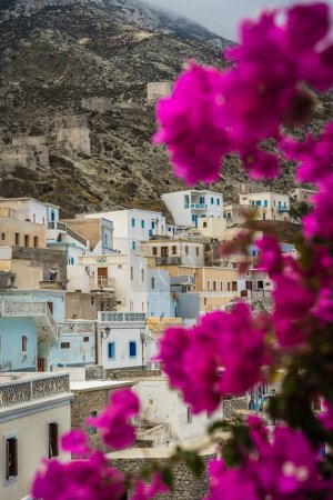 Purple blooming Bougainvillea flowers in the foreground of Hillside colorful homes in the old traditional village Olympos in Karpathos island, Dodecanese Greece