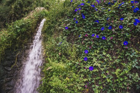 Foto de Cascada azul en el bosque - Imagen libre de derechos