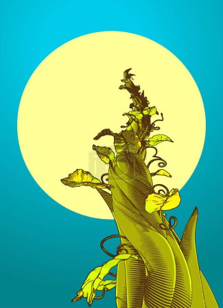Ilustración de Dibujo vintage grabado colorido vista de ojo de gusano de tallo de frijol que crece a la ilustración del vector lunar aislado en el fondo verde turquesa noche - Imagen libre de derechos