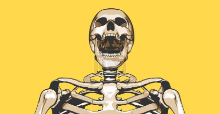 Portrait of laughing skeleton skull low angle view vector illustration isolated on yellow background