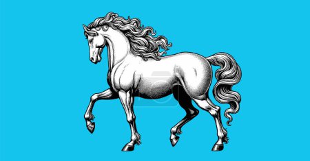 Ilustración de Dibujo vintage grabado monocromo de hermoso caballo blanco con hermoso pelo rizado piel y cola en la acción de trote vista lateral vector ilustración aislada sobre fondo azul turquesa - Imagen libre de derechos