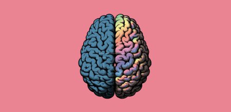 Lápiz tallado en madera y dibujo de tinta de la vista superior hemisferio cerebro separado con lado azul y colorido arco iris lado vector ilustración aislada sobre fondo rosa