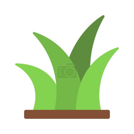 Illustration for Isolated grass icon. vector illustration design - Royalty Free Image