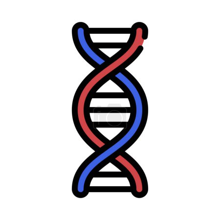 Illustration for Dna stand vector icon on white background - Royalty Free Image